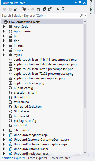 Web site in Solution Explorer