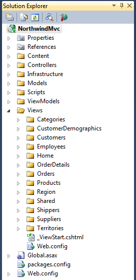 Web Application in Solution Explorer