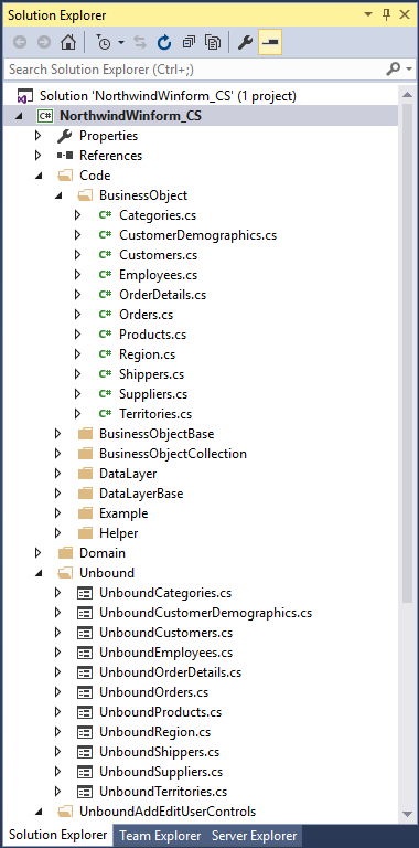 WinForm Project in Solution Explorer